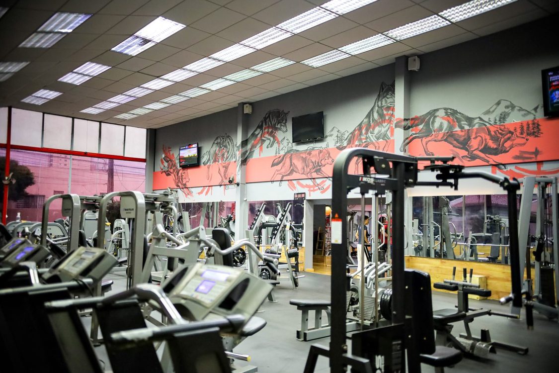 Alka Academia interior